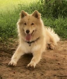 luna